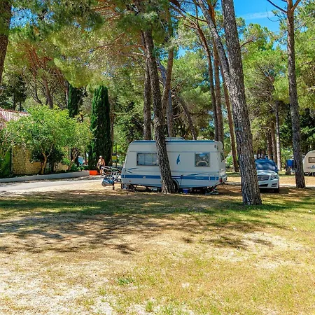 Κάμπινγκ Pitches