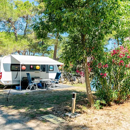 Pitches 营地 扎顿